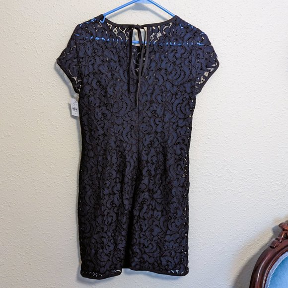 CLEARANCE SALE!!! NWT Loft Lace Shift Dress - Size 2 💜 - Picture 3 of 7